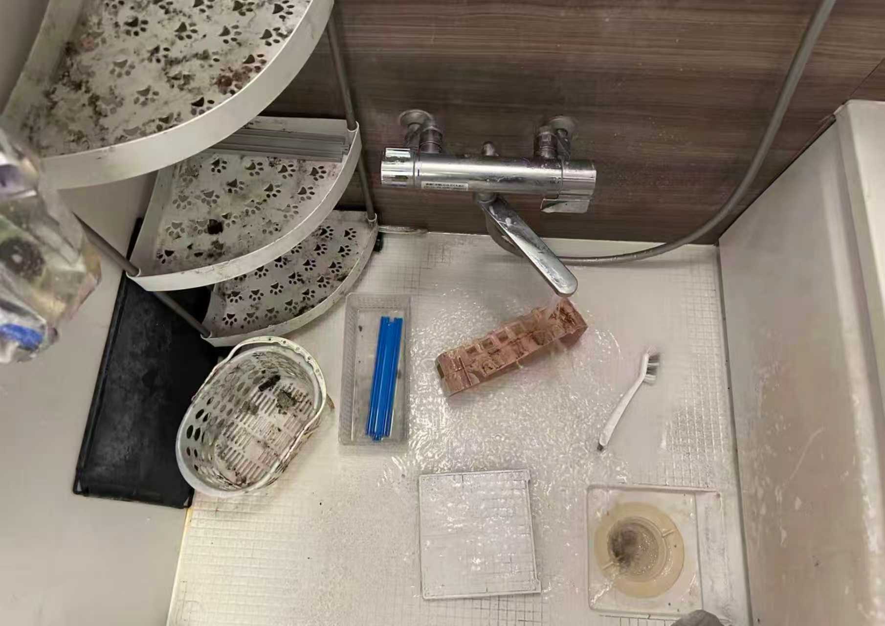 清扫前对比图